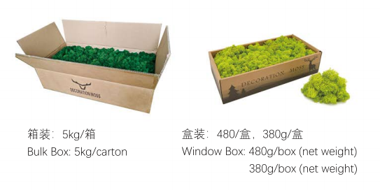 Common Maintenance Issues with Preserved Reindeer Moss – and How to Solve Them